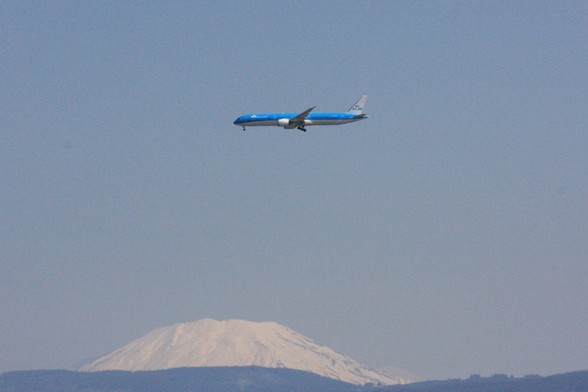 KLM Boeing 787-10 Dreamliner arriving from Amsterdam #AMS / #EHAM on final approach to Portland Int'l Airport #PDX / #KPDX this morning. 50mi/80km in the background is Mt St Helens, with Mt Rainier peeking (peaking?) around its right flank twice as far away.
photo by Ian Kluft
April 23, 2025
Portland, Oregon