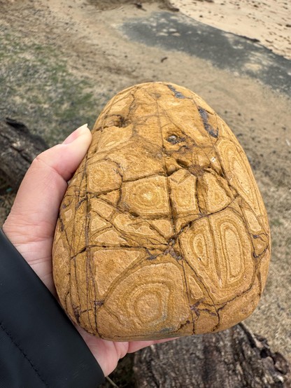 The rock in a hand. The surface is cracked and each cracked patch hosts a pattern outlined by the crack and neatly repeated, like tree rings, like something drawn by hand. What is this heavy thing?