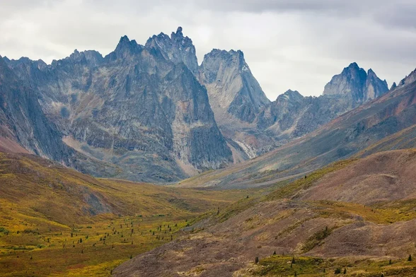 Meadows and mountains - Kluane or Tombstone mountains, Yukon, Canada